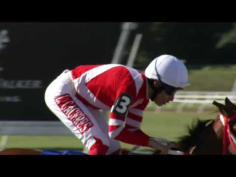 220904 c02 NEEKO (BRZ)