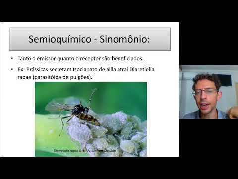 Mini-aula- Ecologia de Insetos - Semioquímicos e feromônios. #entomologiageral #agronomia