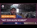 REPO: Boeren in Friesland - "Met zijn allen vooruit"