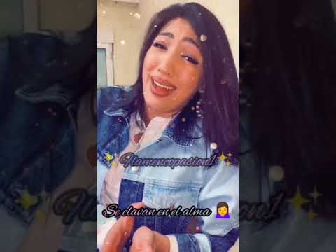 quien te va a querer - Mercé Echevarría olee que bonitoo se lo hacee #parati #flamenco #fyp #viral #