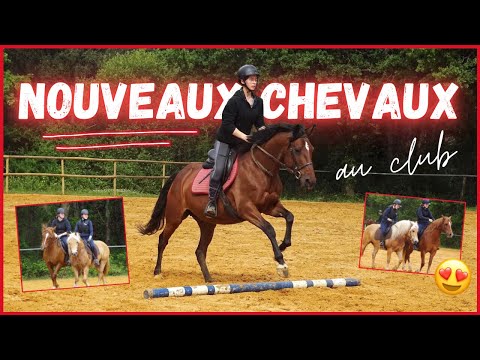 [COURS GOPRO] Nouveaux chevaux et barres au sol ! 29/05/21 - CS'o Landreau