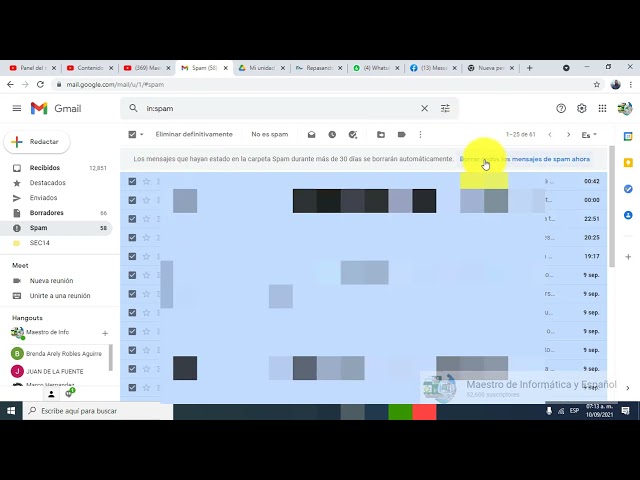 Video preview