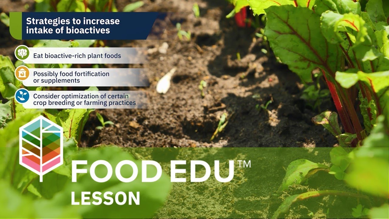 Exploring Bioactive Food Components for Human Health