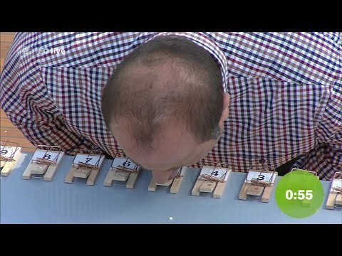 Mäusefallenwette - ZDF Fernsehgarten 26.08.2018