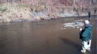 preview picture of video 'Ken Ludlow 2 for 2 on Ashtabula Creek.mp4'