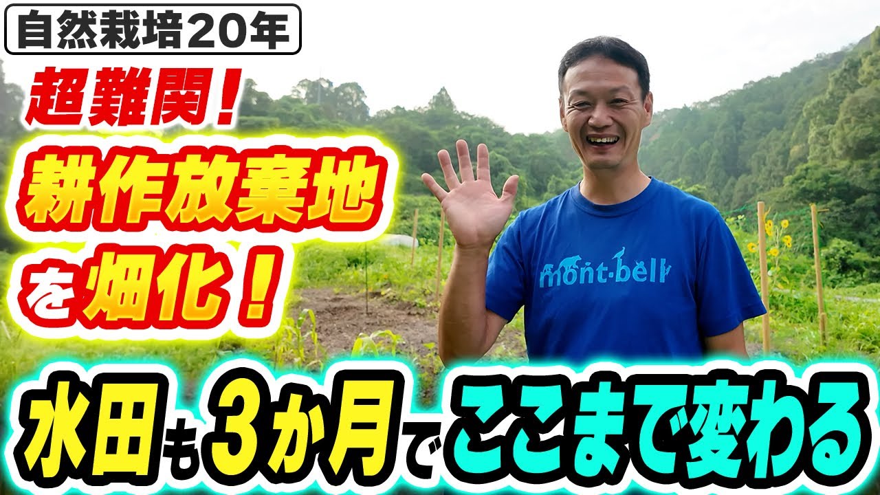 3ヶ月で耕作放棄地が野菜の楽園に再生