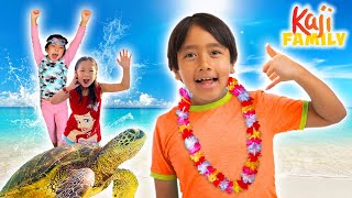 Ryan found a Turtle! Hawaii Big Island Adventure