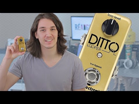 TC Electronic Ditto Looper Gold Limited Edition 2015-2020 - Gold image 5