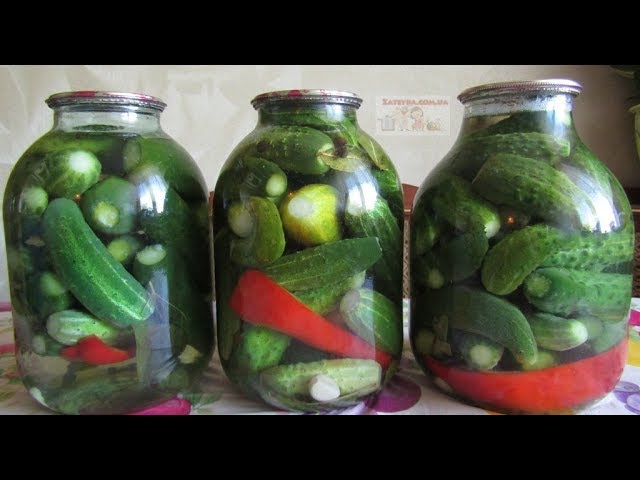 Огурцы с лимонной кислотой. Огурцы соленые 3л на лимонной кислоте. Огурцы на зиму с лимонной кислотой на 3 литровую банку. Огурцы маринованные. Огурцы консервированные с лимонной кислотой.