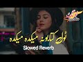 Tol Kitabona Maikada Maikada | Slowed Reverb | Pashto Songs | New song 2023 #lawangstudio