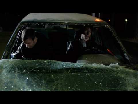 Disco Ensemble: Protector