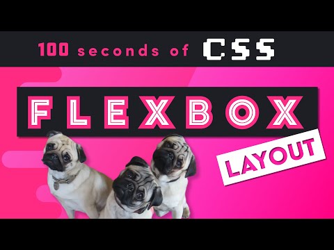 CSS Flexbox in 100 Seconds