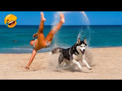 Funny Animal Videos 😂 - The Funniest Pet Fails Ever Caught on Camera 🐶😹 Must Watch 2026