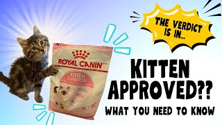 Amazon Finds - Kitten Food - Kitten Food Review - Royal Canin Kitten Food Review - Kitten Nutrition
