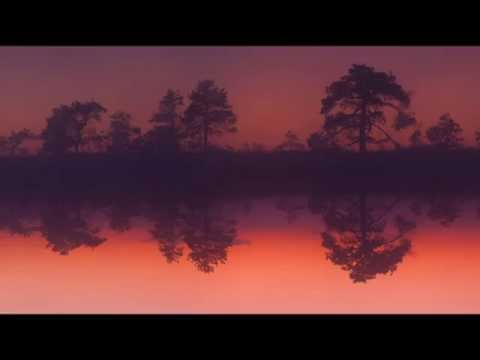 Modestyno - Goldroom_Till Sunrise Edit