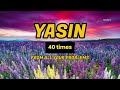 Surah Yaseen 40 Times سورة ياسين 40 مرة من كل مشاكلك قراءة جميلة ل�