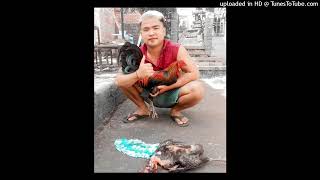 Download lagu Siti Badriah - Bara Bere [ Audio HQ] mp3