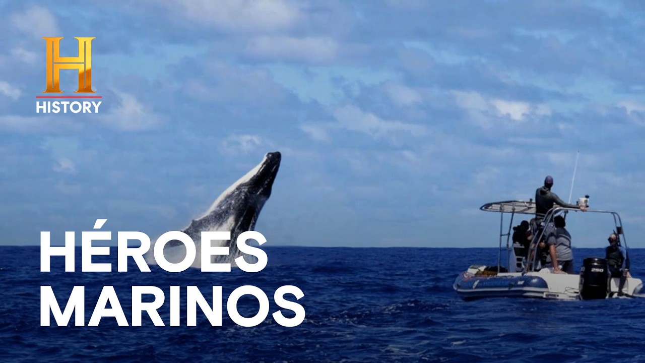 GIGANTES DEL MAR QUE SALVAN VIDAS 🌊 - Inexplicable con William Shatner