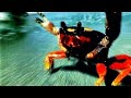 The Prodigy - Narayan