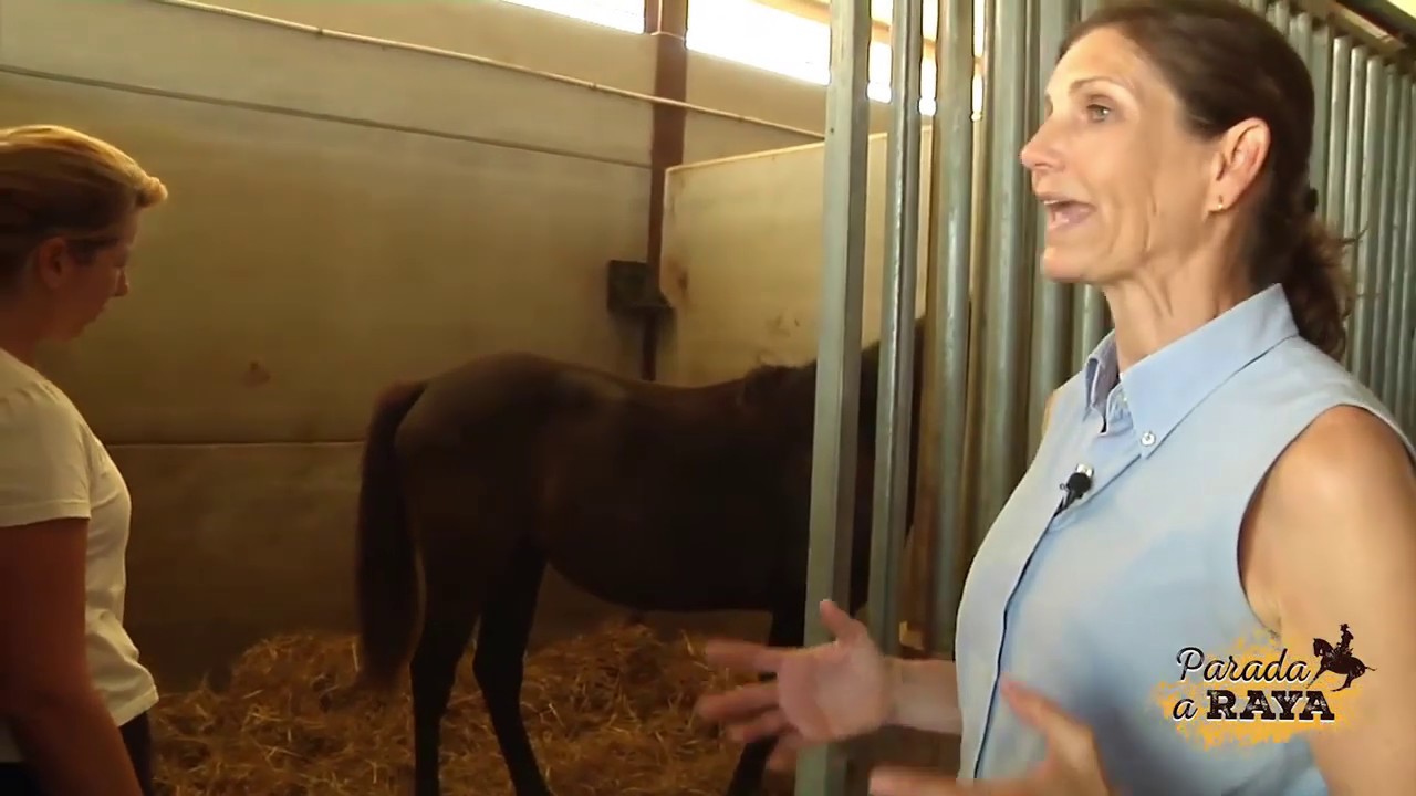 Crecimiento en los Potros - Horse1