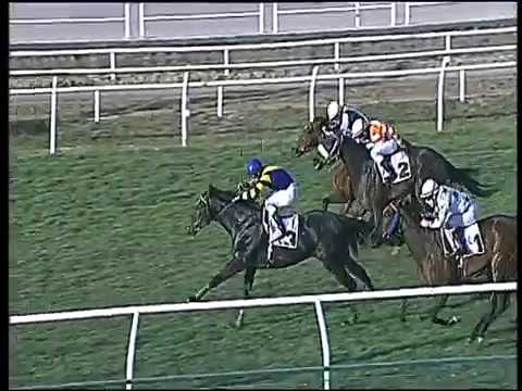 Galoppo 21/02/2017 - 2ª corsa