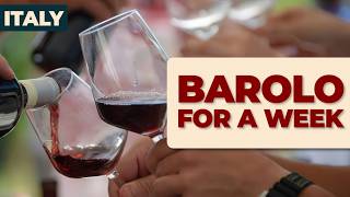 Barolo Wine & Cooking Vacation in Piedmont, Italy | Truffles, Wineries & Castles