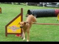 Tinka SP 1 2 Furpach 21 06 2016
