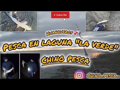 Pesca en "Laguna La Verde"!!! (Huanqueros), linda moncholiada!!!