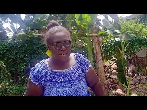 How to make a Papua New Guinea 'Mumu' without digging a hole in the ground