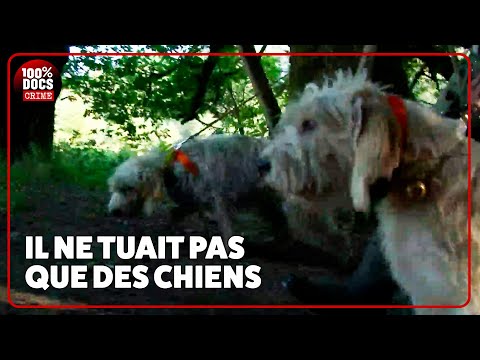 Ce tueur s'est entrainé sur des CHIENS