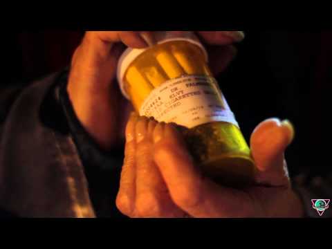 15th Annual Medical Marijuana Benefit Concert 2013 (TEASER)