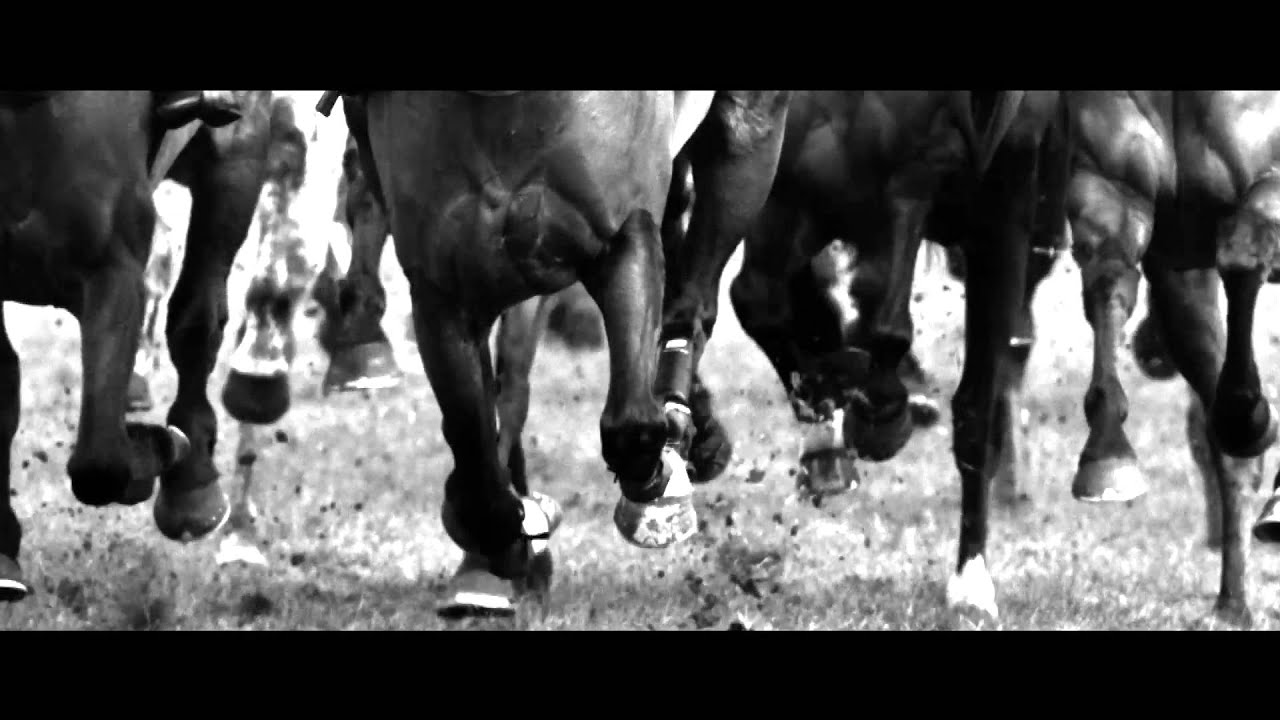 Timeline Television Showreel