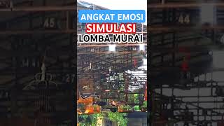 Download lagu Simulasi lomba murai batu memancing emosi#muraibatugacor #pancinganmuraibatu #simulasilombamuraibatu mp3