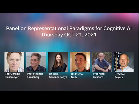 Panel on Representational Paradigms for Cognitive AI