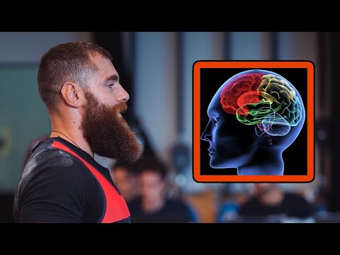 Neuro-Performance: Ce Qu’il Faut Savoir || Bertrand Saugy