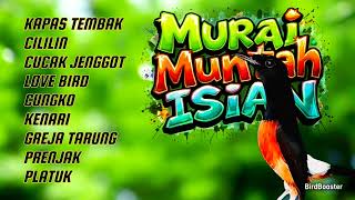 Download lagu KRETEKAN MURAI NEMBAK ISIAN NAIKAN EMOSI DAN BIRAHI mp3 Download lagu KRETEKAN MURAI NEMBAK ISIAN NAIKAN EMOSI DAN BIRAHI mp3