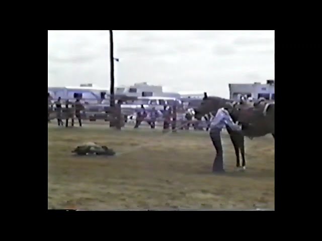 A Glimpse into 90's Rodeo Culture: Found Footage from Georgia | Magica