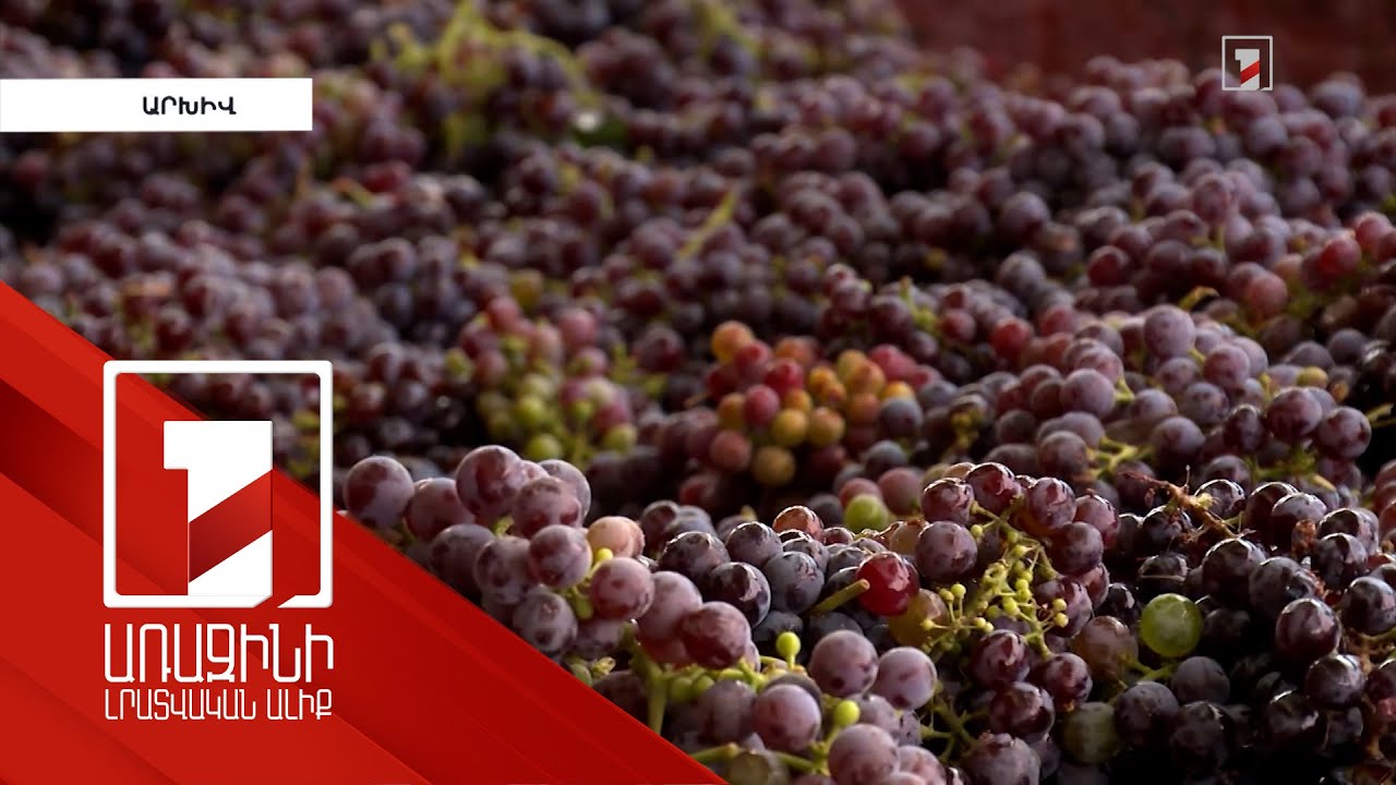 Մթերվել է շուրջ 68200 տոննա խաղող. Արմավիրում հնարավոր է եղել հաղթահարել ջրի խնդիրը