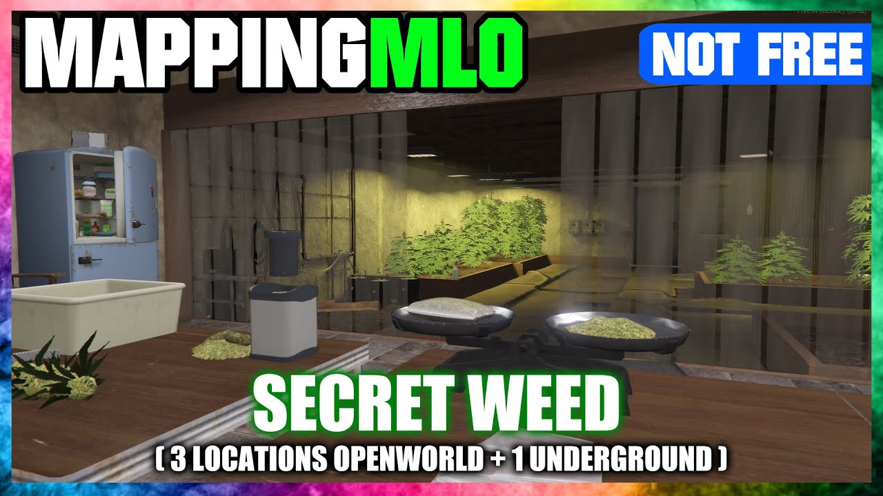 Patoche MLO Secret WEED ( 3 open world + 1 underground ) ( fivem )