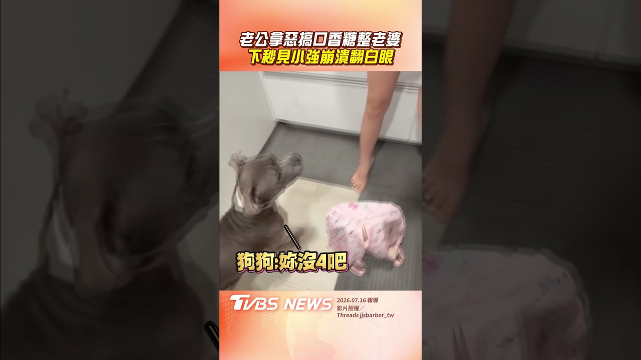 影音/老公拿惡搞口香糖「整老婆」 下秒見小強崩潰尖叫翻白眼