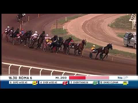 Premio Derby Italiano Batteria A 2023 - Expo Wise As