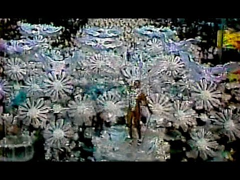 Beija-Flor 1981 (Band)