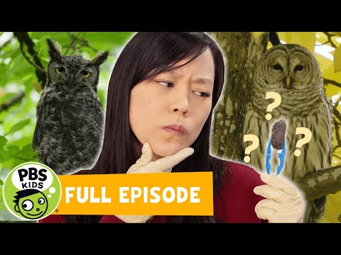 Mega Wow | What's Inside Owl Pellets? | PBS KIDS