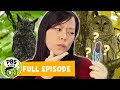 Mega Wow What S Inside Owl Pellets PBS KIDS