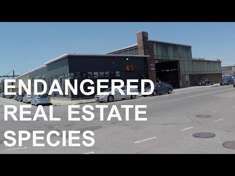 Real Estate endangered species: low level industrial building
