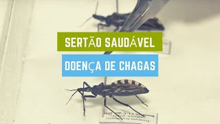 Miniatura do vídeo