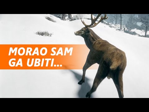 PREŽIVLJAVANJE NA -30 STUPNJEVA - Northern Lights