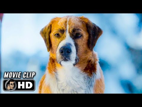 THE CALL OF THE WILD Clip - New Lead Dog (2020) Harrison Ford