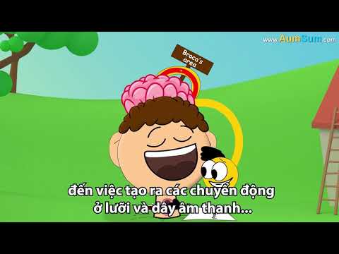 Nguyên nhân chúng ta nói lắp