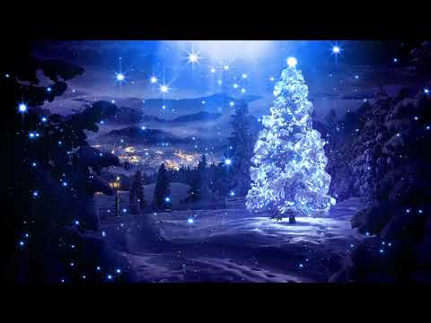 Ľuboš Medveď  - Haleluja